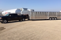 Livestock trailer towed by pickup truck