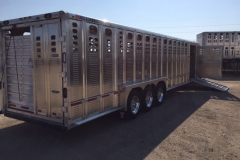 Cattle trailer rear side view in Bismarck, ND