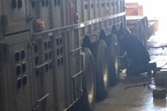 Trailer repair technician by tires of livestock trailer