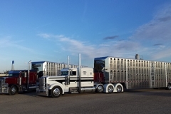 white and red trailer in Williston, ND