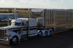 white trailer in Bismarck, ND