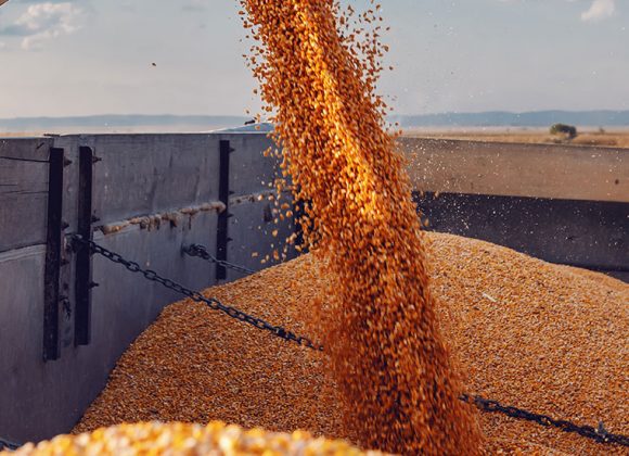 Cattle Trailers for Sale, Conveyor Trailers & Used Semi-Trailer Sales in Marshall, MN