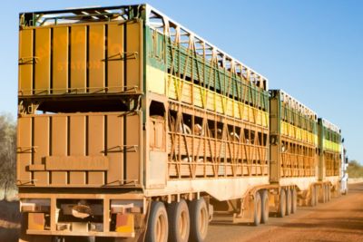 Livestock Trailer for Sale On Dirt Road in Jamestown, ND